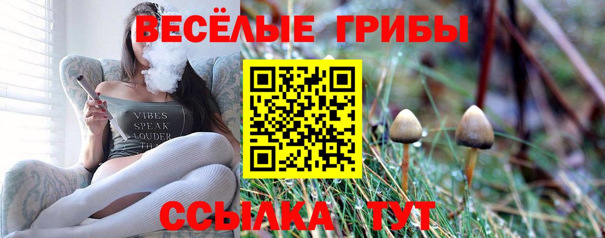 Псилоцибиновые грибы MAGIC MUSHROOMS Обнинск