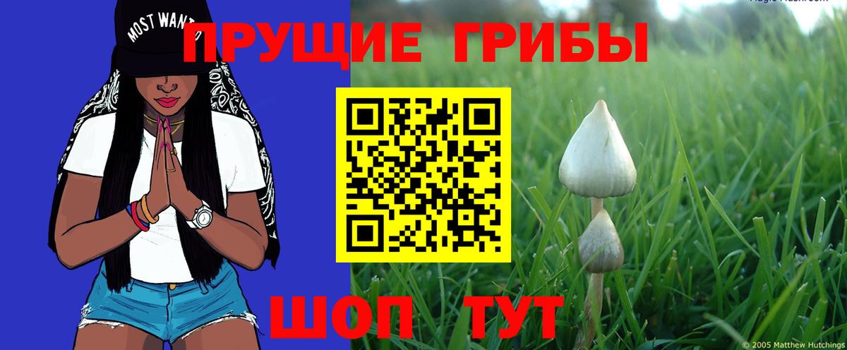 Обнинск  Псилоцибиновые грибы мухоморы  Вход с VPN 